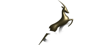Logo for DN Gaselle